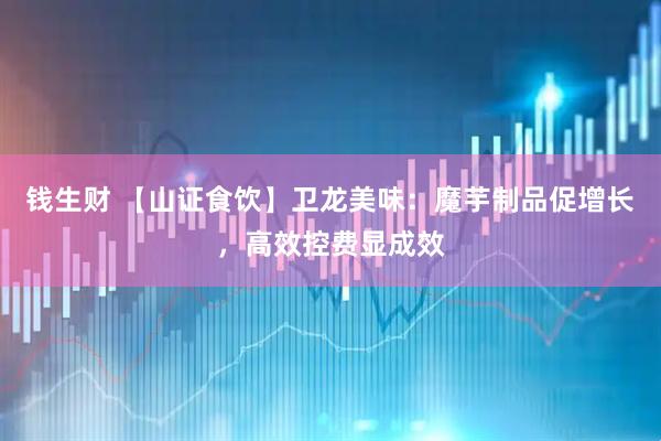 钱生财 【山证食饮】卫龙美味：魔芋制品促增长，高效控费显成效
