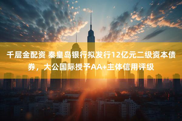 千层金配资 秦皇岛银行拟发行12亿元二级资本债券，大公国际授予AA+主体信用评级
