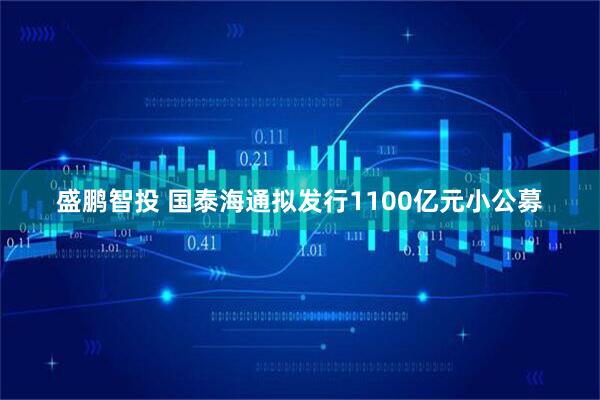 盛鹏智投 国泰海通拟发行1100亿元小公募